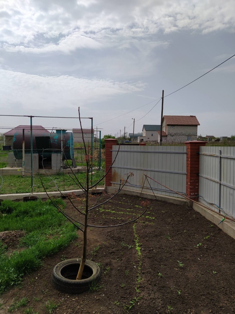 продажа участка номер L-173459 в Светлом, фото номер 11